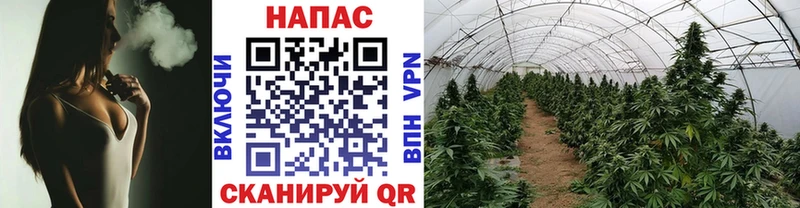 Что такое Белоярский Кокаин  Псилоцибиновые грибы  ГАШИШ  Alpha-PVP  МАРИХУАНА  Меф мяу мяу 