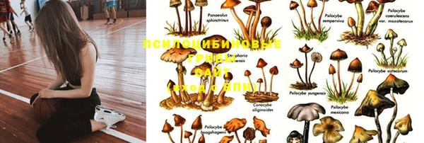 jwh Армянск