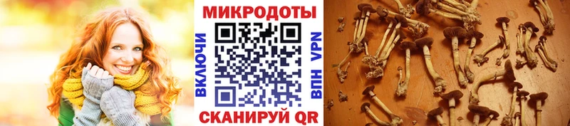 Галлюциногенные грибы ЛСД  omg как зайти  Белоярский 